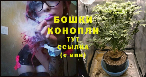 дурь Белоозёрский