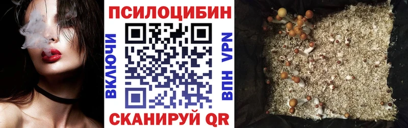 Галлюциногенные грибы прущие грибы  где можно купить   Бирюч 